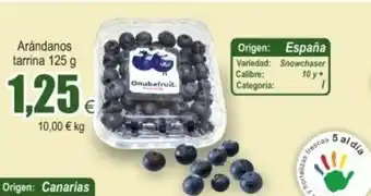 FROIZ Aràndanos tarrina 125g oferta