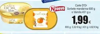 FROIZ Carte D'Or Sorbete mandarina 600g o Vainilla 431g u oferta