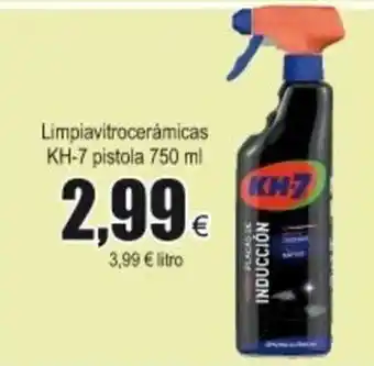 FROIZ Limpiavitroceràmicas KH-7 pistola 750ml oferta