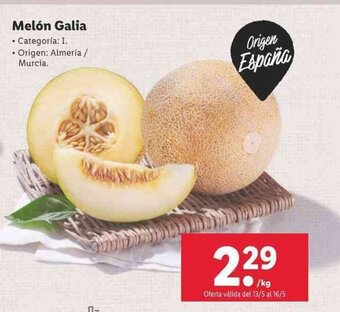 Lidl Melón Galia oferta
