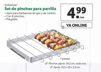 Lidl Grillmeister Set de pinchos para parrilla oferta