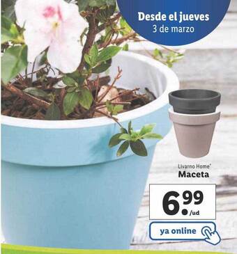 Lidl Livarno Home Maceta oferta