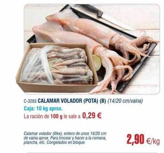 Abordo Calamar Volador Pota B oferta