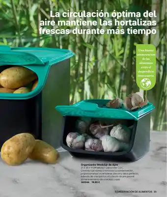 Organizador Modular De Ajos