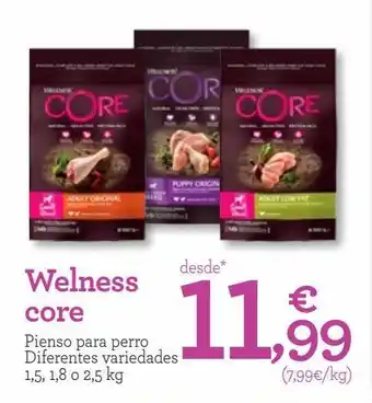 TiendAnimal Pienso para perro welness core oferta
