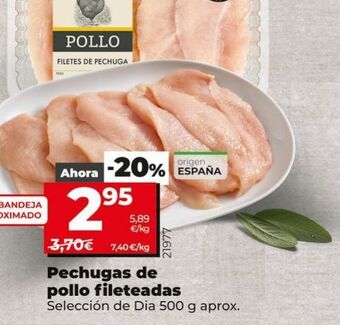 Maxi Dia Pechuga de pollo dia oferta
