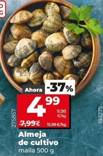 La Plaza de DIA Almejas oferta