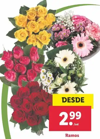 Lidl Flores oferta