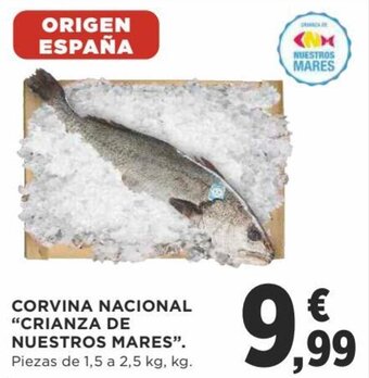 Supercor Corvina Nacional "Crianza de Nuestros Mares" Piezas de 1.5 a 2.5 kg oferta