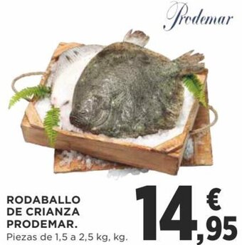 Supercor Rodaballo de Crianza Prodemar Piezas de 1.5 a 2.5 kg oferta