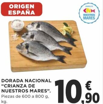 Supercor Dorada Nacional "Crianza de Nuestros Mares" Piezas de 600 a 800 g oferta