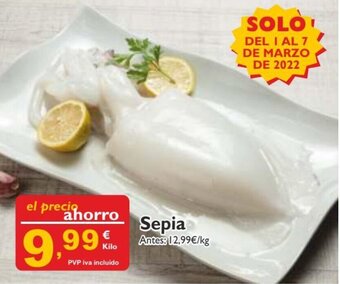 Cash Ecofamilia Sepia oferta