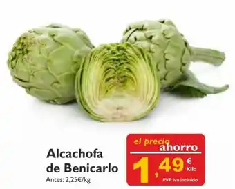Alcachofa de Benicarlo