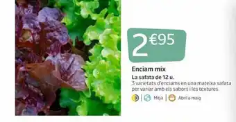 Jardiland Enciam Mix oferta
