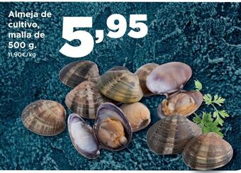 Alimerka Almejas de cultivo oferta