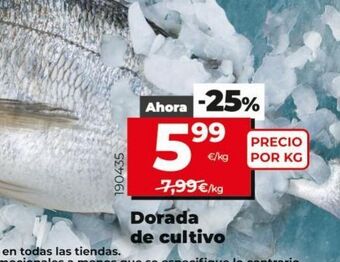 Maxi Dia Dorada de cultivo oferta