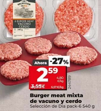 La Plaza de DIA Hamburguesas oferta
