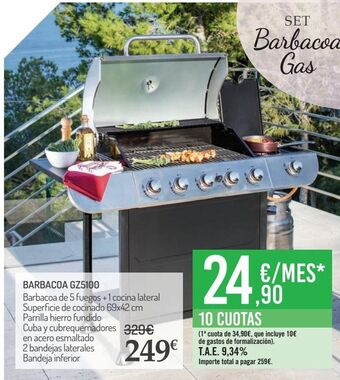 Carrefour Barbacoa gz5100 oferta