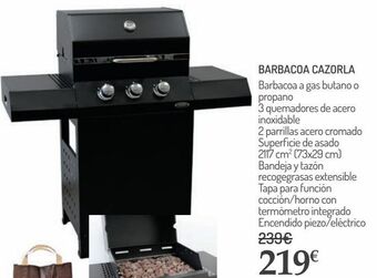 Carrefour Barbacoa cazorla oferta