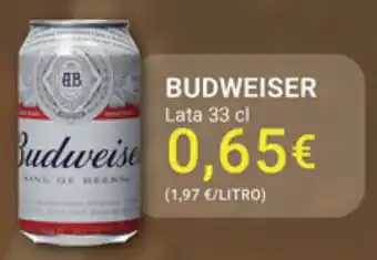 Supermercados Plaza Budweiser lata 33cl oferta