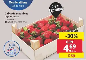 Lidl Caja de fresas oferta
