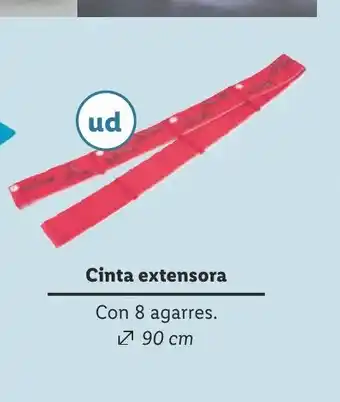 Lidl Cinta extensora Con 8 agarres 90 cm oferta