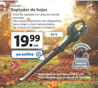 Lidl Parkside Soplador de hojas oferta