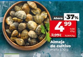La Plaza de DIA Almejas oferta