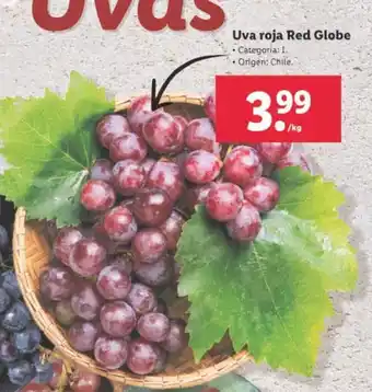 Lidl Uva roja Red Globe oferta