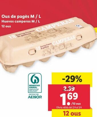 Lidl Huevos oferta