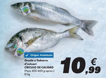 Carrefour Dorada o lubina de estero círculo de calidad oferta