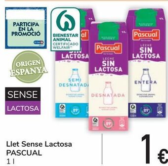 Carrefour Leche sin lactosa pascual oferta