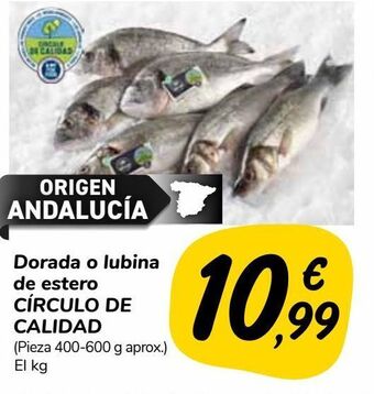 Carrefour Market Dorada o lubina de estero círculo de calidad (pieza 400-600 g aprox.) oferta