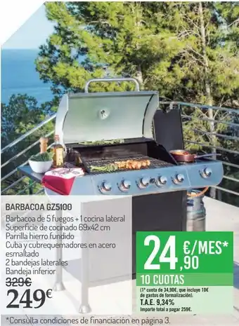 Carrefour Market Barbacoa gz5100 oferta