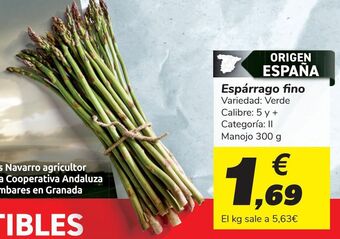Carrefour Espárrago fino oferta
