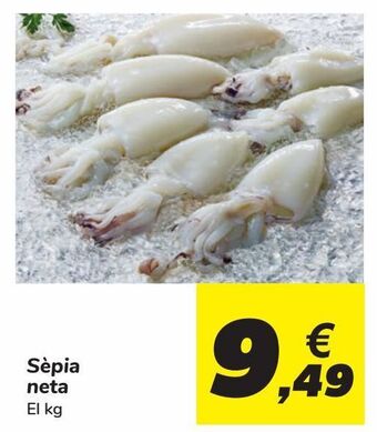 Carrefour Sepia limpia oferta