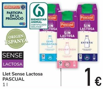 Carrefour Leche sin lactosa pascual oferta