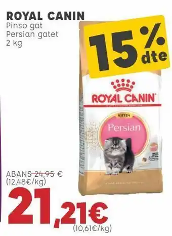 Kiwoko Royal canin pienso gato persian gatito oferta