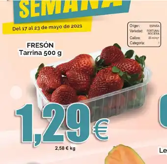 FROIZ Fresón Tarrina 500g oferta