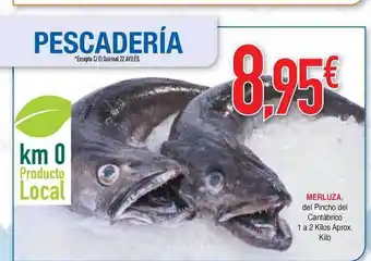 Merluza del Pincho del Cantábrico 1 a 2 kilos aprox