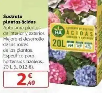 Alcampo Sustrato Plantas ácidas oferta