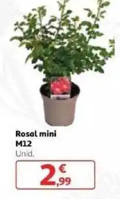 Alcampo M12 Rosal Mini oferta