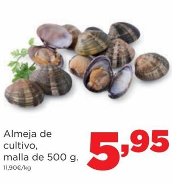 Alimerka Almeja de Cultivo, Malla de 500 g. oferta