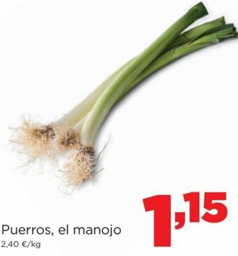 Alimerka Puerros, El Manojo oferta