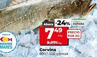 La Plaza de DIA Corvina oferta