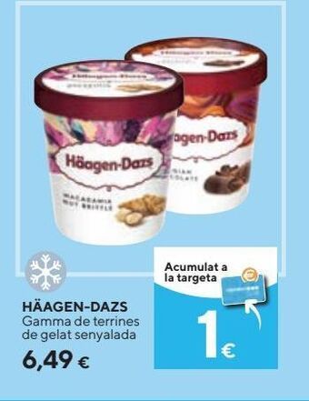 Tarrina de helado häagen-dazs