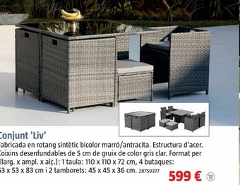 Bauhaus Muebles de jardín oferta