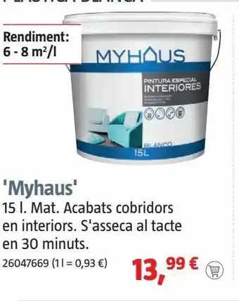 Bauhaus Pintura especial oferta