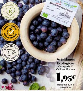 Gadis Arándanos oferta