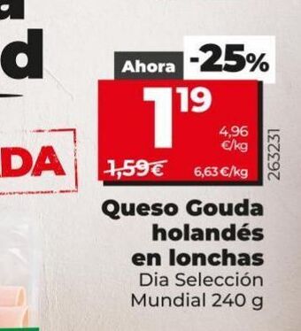 Maxi Dia Queso gouda dia oferta